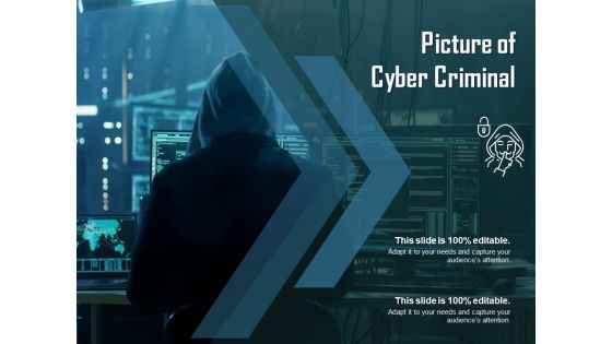 Picture Of Cyber Criminal Ppt PowerPoint Presentation Infographics Graphics Template