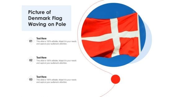 Picture Of Denmark Flag Waving On Pole Ppt PowerPoint Presentation Ideas Influencers PDF