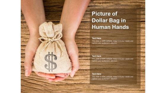 Picture Of Dollar Bag In Human Hands Ppt PowerPoint Presentation Ideas Introduction
