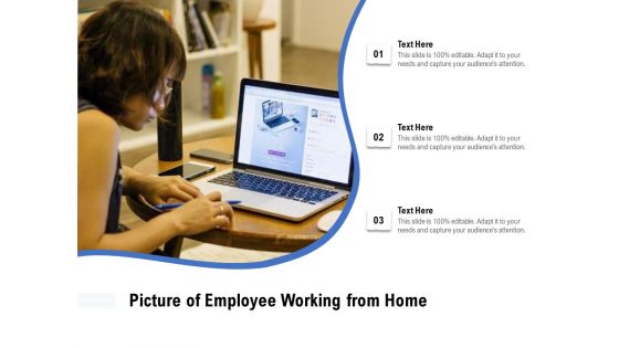 Picture Of Employee Working From Home Ppt PowerPoint Presentation Icon Infographics PDF