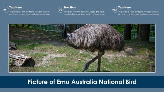 Picture Of Emu Australia National Bird Ppt PowerPoint Presentation File Design Inspiration PDF