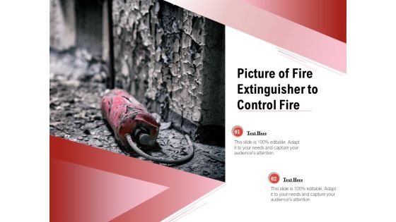Picture Of Fire Extinguisher To Control Fire Ppt PowerPoint Presentation Infographic Template Slide Portrait PDF