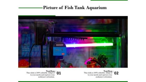 Picture Of Fish Tank Aquarium Ppt PowerPoint Presentation Gallery Microsoft PDF