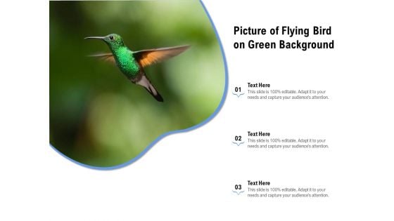 Picture Of Flying Bird On Green Background Ppt PowerPoint Presentation Icon Show PDF