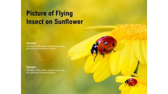 Picture Of Flying Insect On Sunflower Ppt PowerPoint Presentation Visual Aids Example 2015 PDF