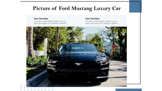 Picture Of Ford Mustang Luxury Car Ppt PowerPoint Presentation Styles Brochure PDF