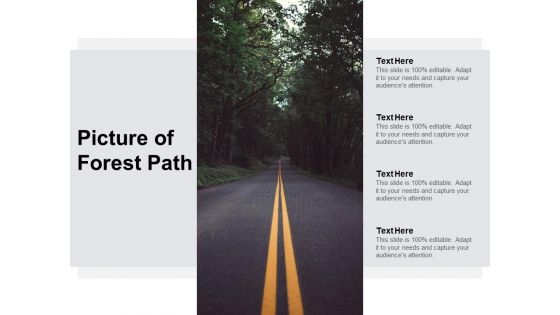 Picture Of Forest Path Ppt PowerPoint Presentation Portfolio Examples Picture Of Forest Path Ppt PowerPoint Presentation Portfolio Examples