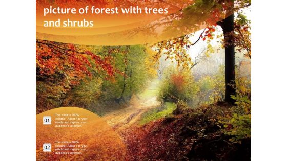 Picture Of Forest With Trees And Shrubs Ppt PowerPoint Presentation Layouts Model PDF