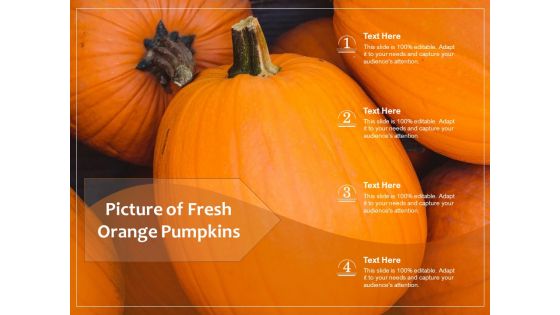 Picture Of Fresh Orange Pumpkins Ppt PowerPoint Presentation File Vector PDF