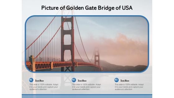 Picture Of Golden Gate Bridge Of USA Ppt PowerPoint Presentation Portfolio Guidelines PDF