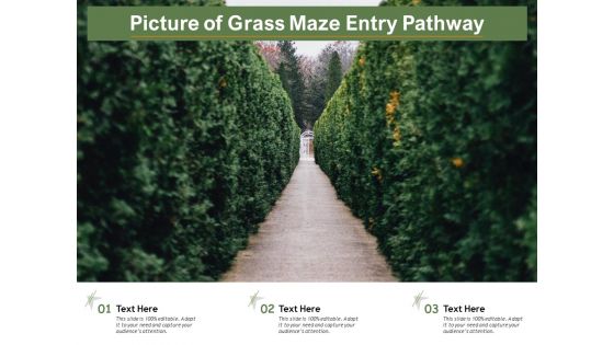 Picture Of Grass Maze Entry Pathway Ppt PowerPoint Presentation Layouts Design Templates PDF