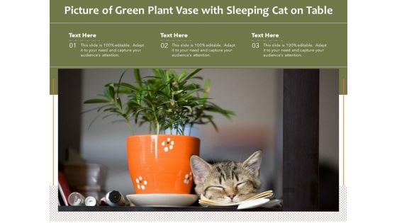 Picture Of Green Plant Vase With Sleeping Cat On Table Ppt PowerPoint Presentation Styles Example Topics PDF