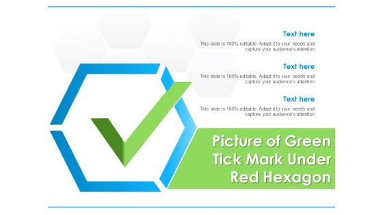 Picture Of Green Tick Mark Under Red Hexagon Ppt PowerPoint Presentation Icon Master Slide