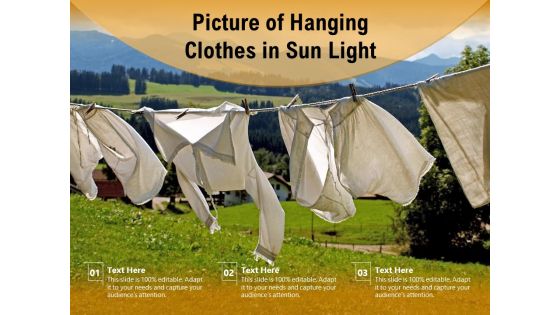 Picture Of Hanging Clothes In Sun Light Ppt PowerPoint Presentation File Layout Ideas PDF