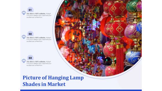 Picture Of Hanging Lamp Shades In Market Ppt PowerPoint Presentation Gallery Slide PDF