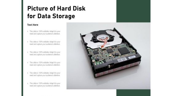 Picture Of Hard Disk For Data Storage Ppt PowerPoint Presentation File Slideshow PDF