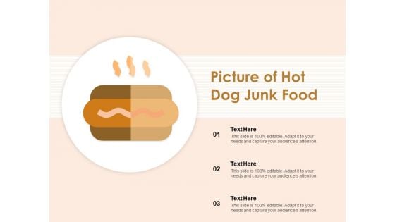 Picture Of Hot Dog Junk Food Ppt PowerPoint Presentation Model Gallery