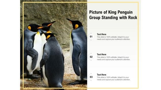 Picture Of King Penguin Group Standing With Rock Ppt PowerPoint Presentation File Portfolio PDF