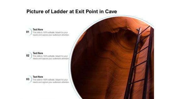 Picture Of Ladder At Exit Point In Cave Ppt PowerPoint Presentation Icon Show PDF