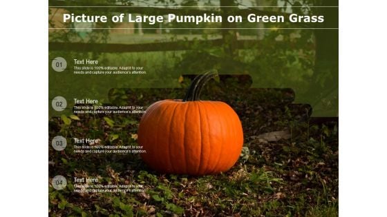 Picture Of Large Pumpkin On Green Grass Ppt PowerPoint Presentation File Samples PDF