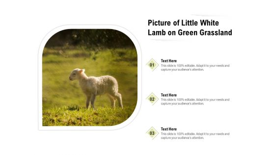 Picture Of Little White Lamb On Green Grassland Ppt PowerPoint Presentation File Layouts PDF