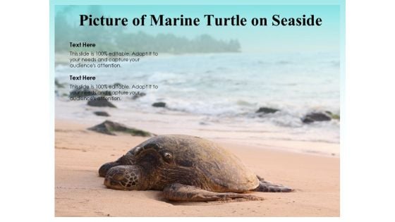 Picture Of Marine Turtle On Seaside Ppt PowerPoint Presentation Infographics Outfit PDF