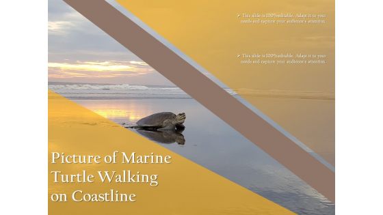 Picture Of Marine Turtle Walking On Coastline Ppt PowerPoint Presentation Professional Background Designs PDF