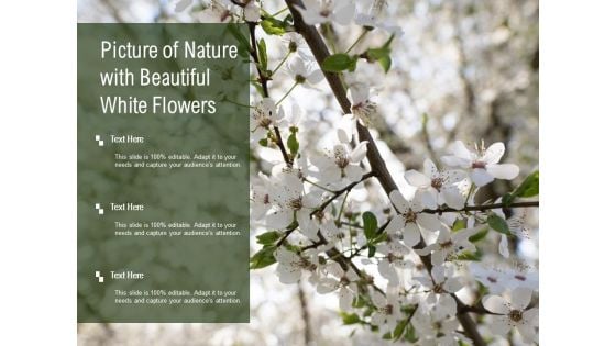 Picture Of Nature With Beautiful White Flowers Ppt PowerPoint Presentation Styles Graphics Template