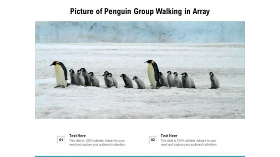 Picture Of Penguin Group Walking In Array Ppt PowerPoint Presentation File Graphic Tips PDF