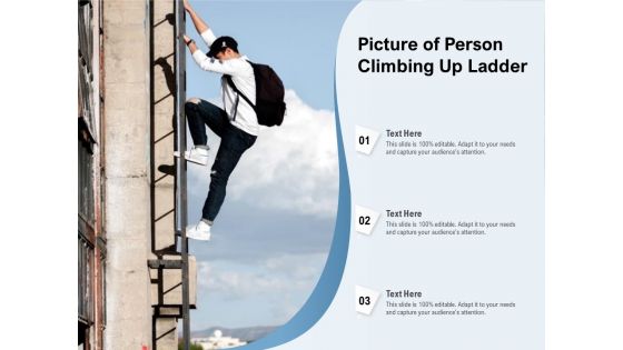 Picture Of Person Climbing Up Ladder Ppt PowerPoint Presentation Gallery Graphics PDF