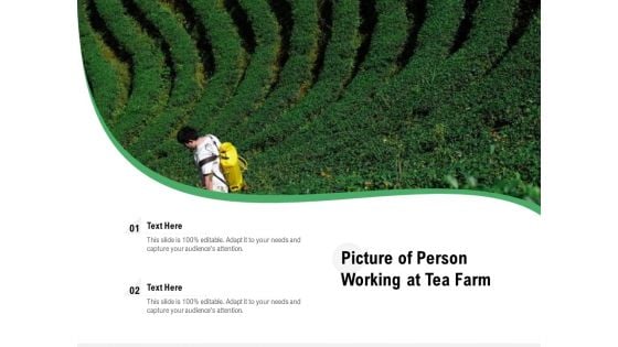 Picture Of Person Working At Tea Farm Ppt PowerPoint Presentation Gallery Graphics PDF