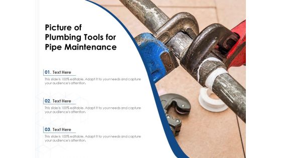 Picture Of Plumbing Tools For Pipe Maintenance Ppt PowerPoint Presentation Slide PDF