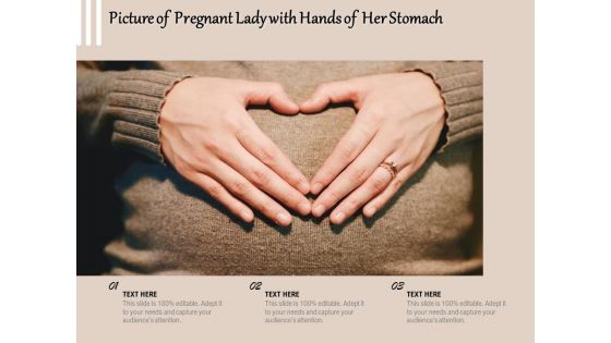 Picture Of Pregnant Lady With Hands Of Her Stomach Ppt PowerPoint Presentation Infographics Ideas PDF