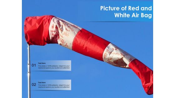 Picture Of Red And White Air Bag Ppt PowerPoint Presentation Professional Show PDF