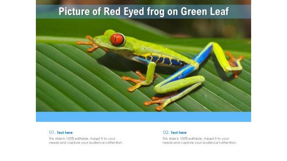 Picture Of Red Eyed Frog On Green Leaf Ppt PowerPoint Presentation Pictures Ideas PDF