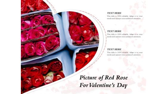 Picture Of Red Rose For Valentines Day Ppt PowerPoint Presentation Portfolio Outfit PDF