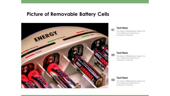 Picture Of Removable Battery Cells Ppt PowerPoint Presentation Ideas Influencers PDF