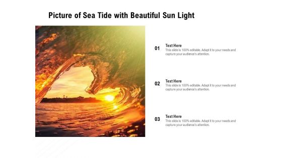 Picture Of Sea Tide With Beautiful Sun Light Ppt PowerPoint Presentation Visuals PDF