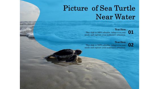 Picture Of Sea Turtle Near Water Ppt PowerPoint Presentation Gallery Master Slide PDF