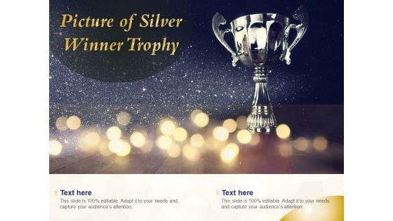 Picture Of Silver Winner Trophy Ppt PowerPoint Presentation Slides Themes