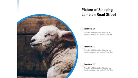 Picture Of Sleeping Lamb On Road Street Ppt PowerPoint Presentation File Infographics PDF