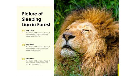 Picture Of Sleeping Lion In Forest Ppt PowerPoint Presentation File Structure PDF