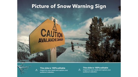 Picture Of Snow Warning Sign Ppt PowerPoint Presentation Portfolio Guidelines PDF