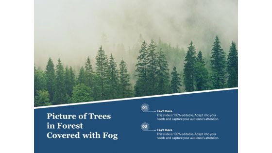 Picture Of Trees In Forest Covered With Fog Ppt PowerPoint Presentation Pictures Aids PDF