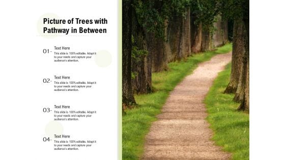 Picture Of Trees With Pathway In Between Ppt PowerPoint Presentation Infographic Template Layout PDF