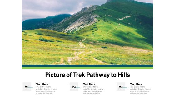 Picture Of Trek Pathway To Hills Ppt PowerPoint Presentation Layouts Layout Ideas PDF