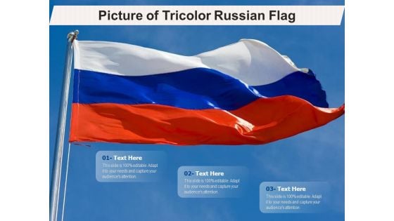 Picture Of Tricolor Russian Flag Ppt PowerPoint Presentation File Portfolio PDF
