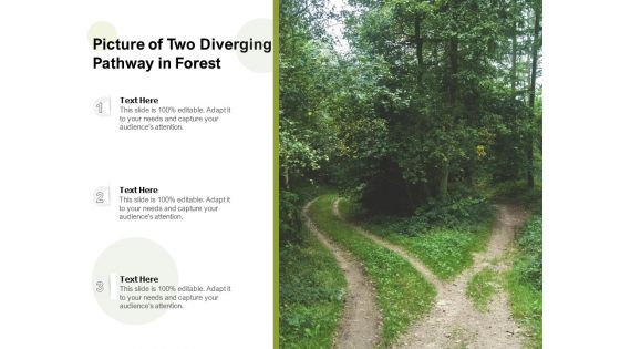 Picture Of Two Diverging Pathway In Forest Ppt PowerPoint Presentation Layouts Show PDF