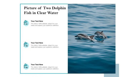 Picture Of Two Dolphin Fish In Clear Water Ppt PowerPoint Presentation File Graphic Images PDF
