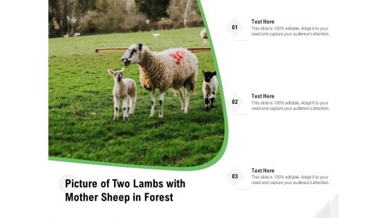 Picture Of Two Lambs With Mother Sheep In Forest Ppt PowerPoint Presentation File Vector PDF